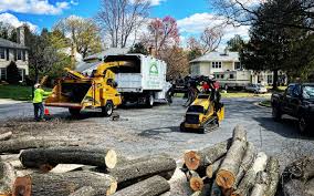 Best Hazardous Tree Removal  in Hannibal, MO